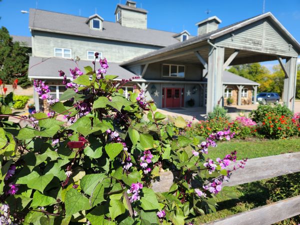 A vibrant view of our pavilion entrance captured on a bright, sunny day. The foreground features a lush vine with blooming purple flowers climbing a rustic wooden fence, leading the eye toward the main building. The exterior showcases our spacious, light-green structure and covered entryway, framed by meticulously maintained landscaping and colorful flower beds. This image highlights the welcoming, natural atmosphere of our venue, perfect for showcasing our outdoor charm and seasonal beauty to potential guests.